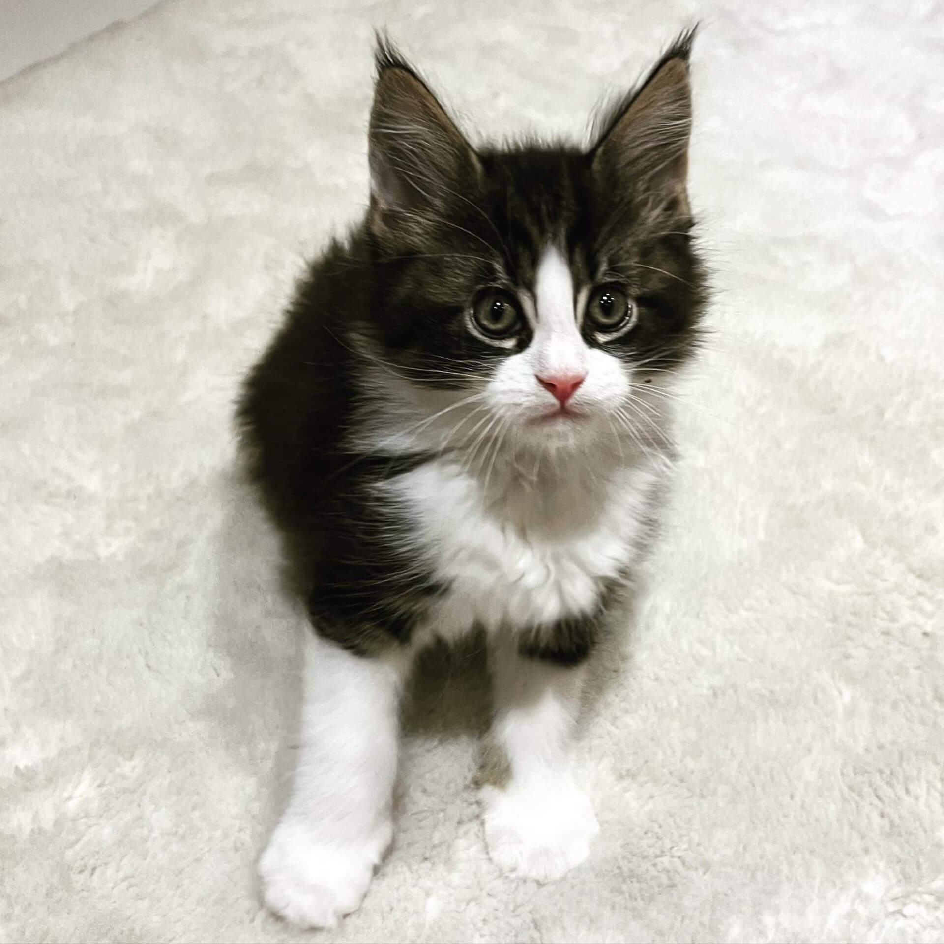 1BEE14C2 8D49 44A1 9630 D43C1619CB32